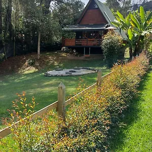 Eucalypto , Guarne Colombia